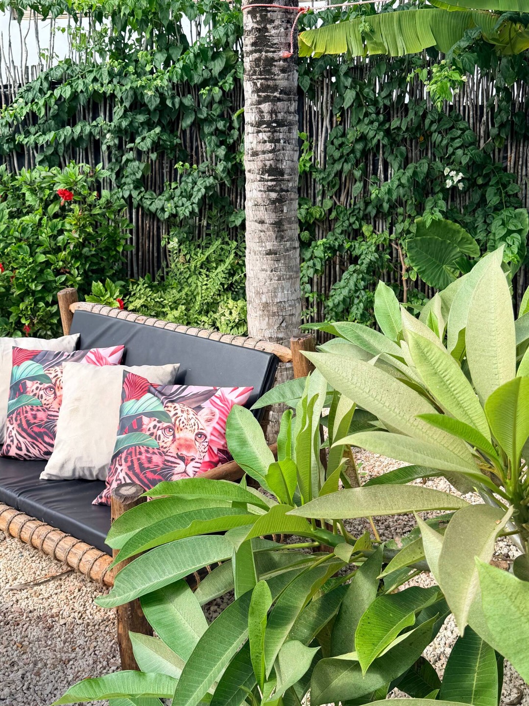 Tropical garden