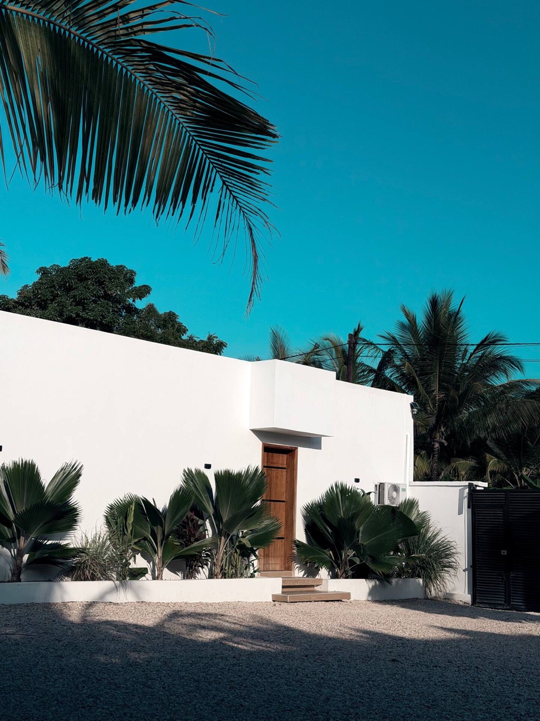 White villa and palm under a bright Jambiani sky